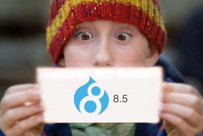 Drupal 8.5.0